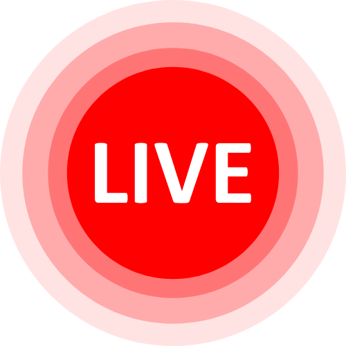 Domina Webcam